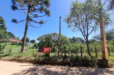 Chácara à venda, 11880 m² por r$ 650.000,00 - area rural - são josé dos pinhais/pr
