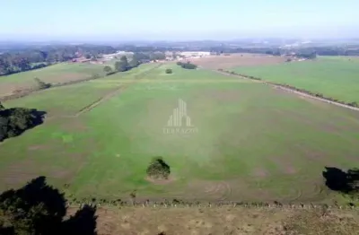 Áreas industriais à venda – de 20.000 m² a 40.500 m² – campo largo da roseira - são josé dos pinhais/pr