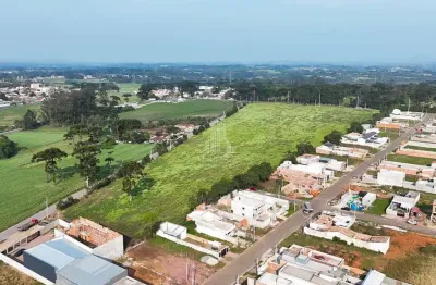 Área comercial para locação - costeira- são josé dos pinhais- pr