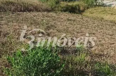 Terreno à venda, 300m², loteamento residencial penha i, penha-sc