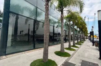 Aluguel loja sala terrea comercial centro itajaí alto padrão 51,40 m2