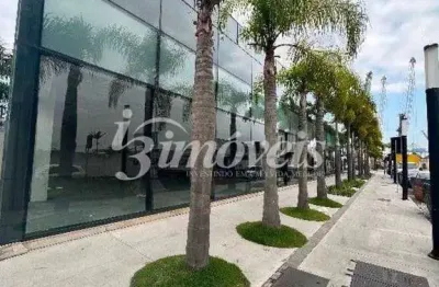 Aluguel loja sala terrea comercial centro itajaí alto padrão 51,40 m2