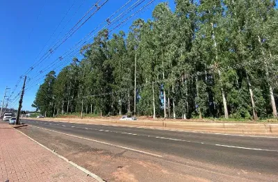 Terreno à venda na avenida leopoldo sander, lajeado, chapecó por r$ 38.160.000