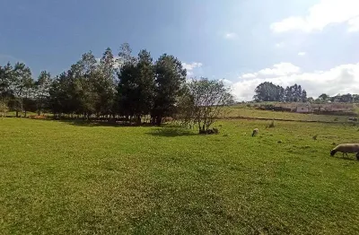 Terreno à venda na linha colonia cella, interior, chapecó por r$ 900.000