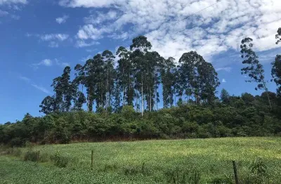 Terreno à venda na linha tafona, interior, chapecó por r$ 1.915.000