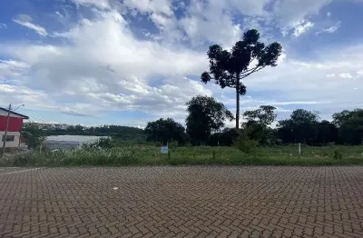 Terreno à venda na dorvalino baldissera, lajeado, chapecó por r$ 2.450.000