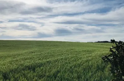 Terreno à venda na interior, s/n, centro (marechal bormann), chapecó por r$ 19.848.000