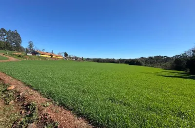 Terreno à venda na linha cascavel, 1, vederti, chapecó por r$ 6.360.000
