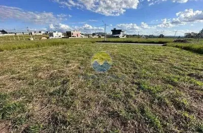 Terreno à venda, 250 m² por r$ 320.000,00 - jardim das flores - são josé dos campos/sp