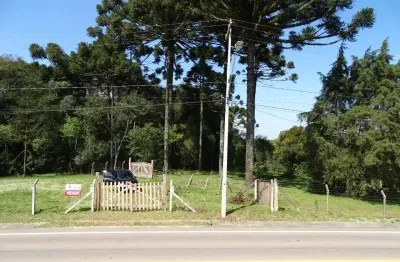 Terreno à venda na Rua Prefeito Romualdo Sobocinski, 1899, Campo Redondo, Araucária