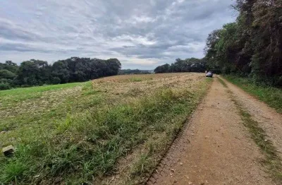 Terreno à venda na Rua Rua Augusto Borkowski, S/N°, Campina das Pedras, Araucária