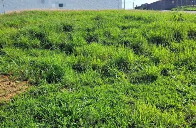 Terreno à venda no Jardim Residencial Campo Novo, Limeira 