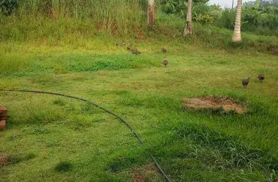 Chácara / sítio com 2 quartos à venda na Área Rural de Iracemápolis, Iracemápolis 