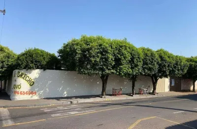 Casa com 3 quartos à venda na Vila Clementina, São José do Rio Preto 
