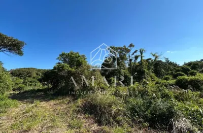 Terreno à venda na praia do ervino, são francisco do sul  por r$ 85.000