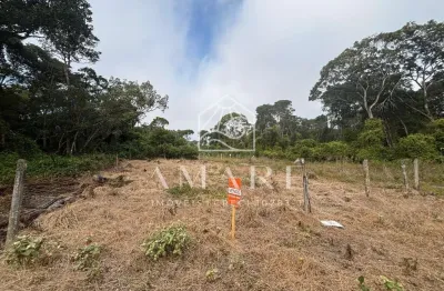 Terreno à venda na praia do ervino, são francisco do sul  por r$ 88.000