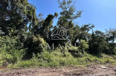 Terreno à venda na praia do ervino, são francisco do sul  por r$ 100.000