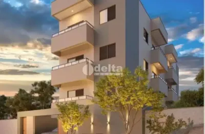 Apartamento para venda em uberlândia, santa mônica, 3 dormitórios, 1 suíte, 2 banheiros, 2 vagas