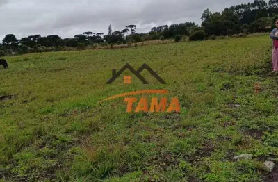 Chácara / sítio à venda na colônia mergulhão, são josé dos pinhais  por r$ 280.000