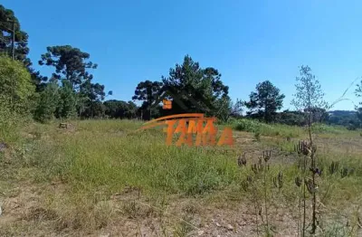Terreno à venda em contenda, são josé dos pinhais , 27000 m2 por r$ 156.000