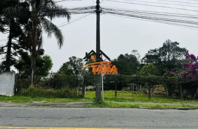 Terreno comercial para alugar na costeira, são josé dos pinhais , 480 m2 por r$ 1.800