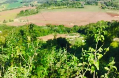 Chácara / sítio à venda na Estrada Dos Coroados, Jardim Paraná, Londrina