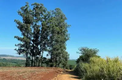 Chácara / sítio à venda no Centro, Jataizinho 