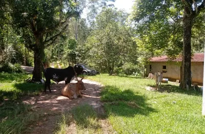 Fazenda à venda no Centro, Caçapava 