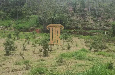 Terreno à venda no Centro, Monteiro Lobato 