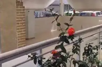 Apartamento à venda na rua álvaro de macedo, parada de lucas, rio de janeiro - rj