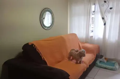 Casa à venda na rua serra de botucatu, vila gomes cardim, são paulo - sp