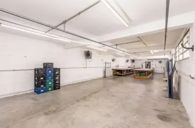 Galpão à venda na rua martins júnior, chácara nossa senhora aparecida, são paulo - sp