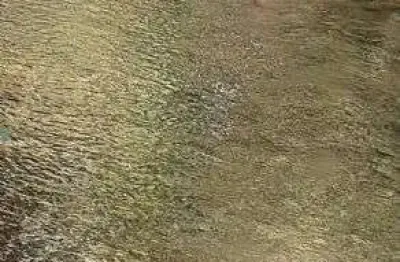 Vendo chácara rio claro em chapada dos guimarães mt