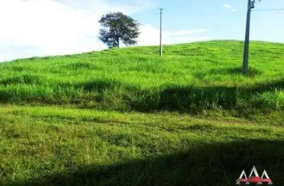 Fazenda à venda na Zona Rural, Nova Brasilândia 