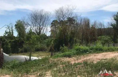 Terreno comercial para alugar na Rua dos Crisântemos, Jardim Cuiabá, Cuiabá