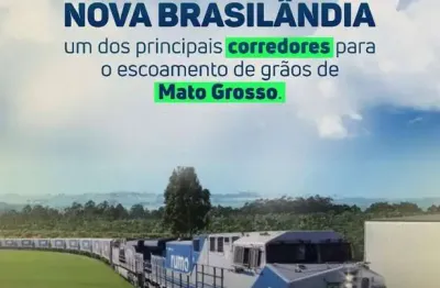 Fazenda 366 hectares dupla aptidão a 50 km de campo verde para plantio soja