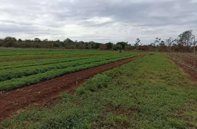 Chácara / sítio à venda na Zona Rural, Campo Verde 