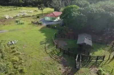 Fazenda à venda na Zona Rural, Rosário Oeste 
