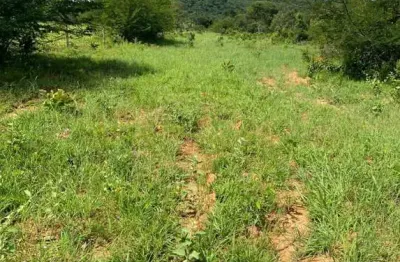Fazenda à venda na Zona Rural, Taipas do Tocantins 