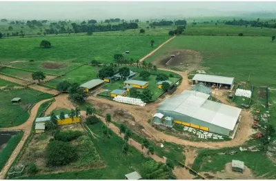 Fazenda a venda com dupla aptidão região de juara mt