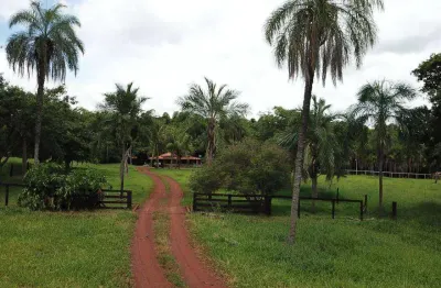 Chácara / sítio à venda na Zona Rural, Campinápolis 