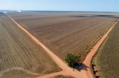 Fazenda em atividade de  plantio em campo novo dos parecis