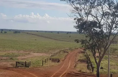 Fazenda à venda na Zona Rural, Paranatinga 