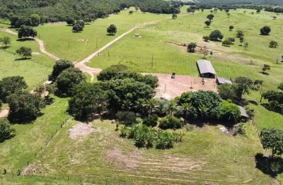 Fazenda à venda na Zona Rural, Nova Xavantina 