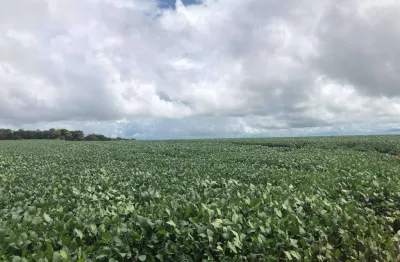 Fazenda à venda na ÁRea Rural, Zona Rural, Sorriso