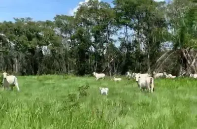 Fazenda à venda na Área Rural, Zona Rural, Cuiabá