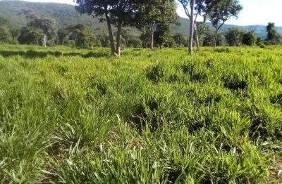 Fazenda com 1540 hectares em mirassol d´ oeste - mt