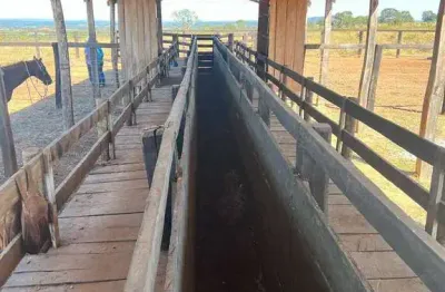 Fazenda à venda na Zona Rural, Barra do Garças 