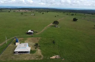 Fazenda à venda na Área Rural, Área Rural de Rondonópolis, Rondonópolis