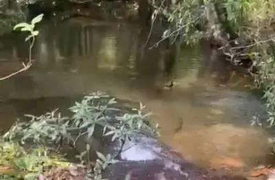 Fazenda à venda na Zona Rural, Jaciara 